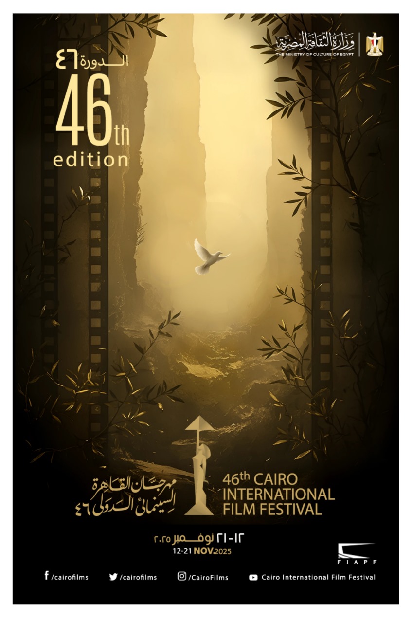 566258485_4078619962376326_8794289231830194120_n