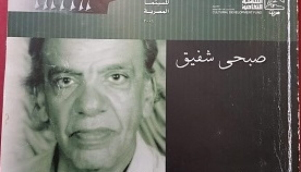 كتاب صبحي شفيق الناقد الفنان لسمير فريد