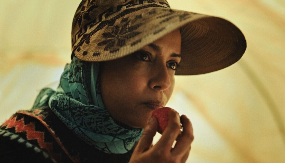 توت الأرض (2026)