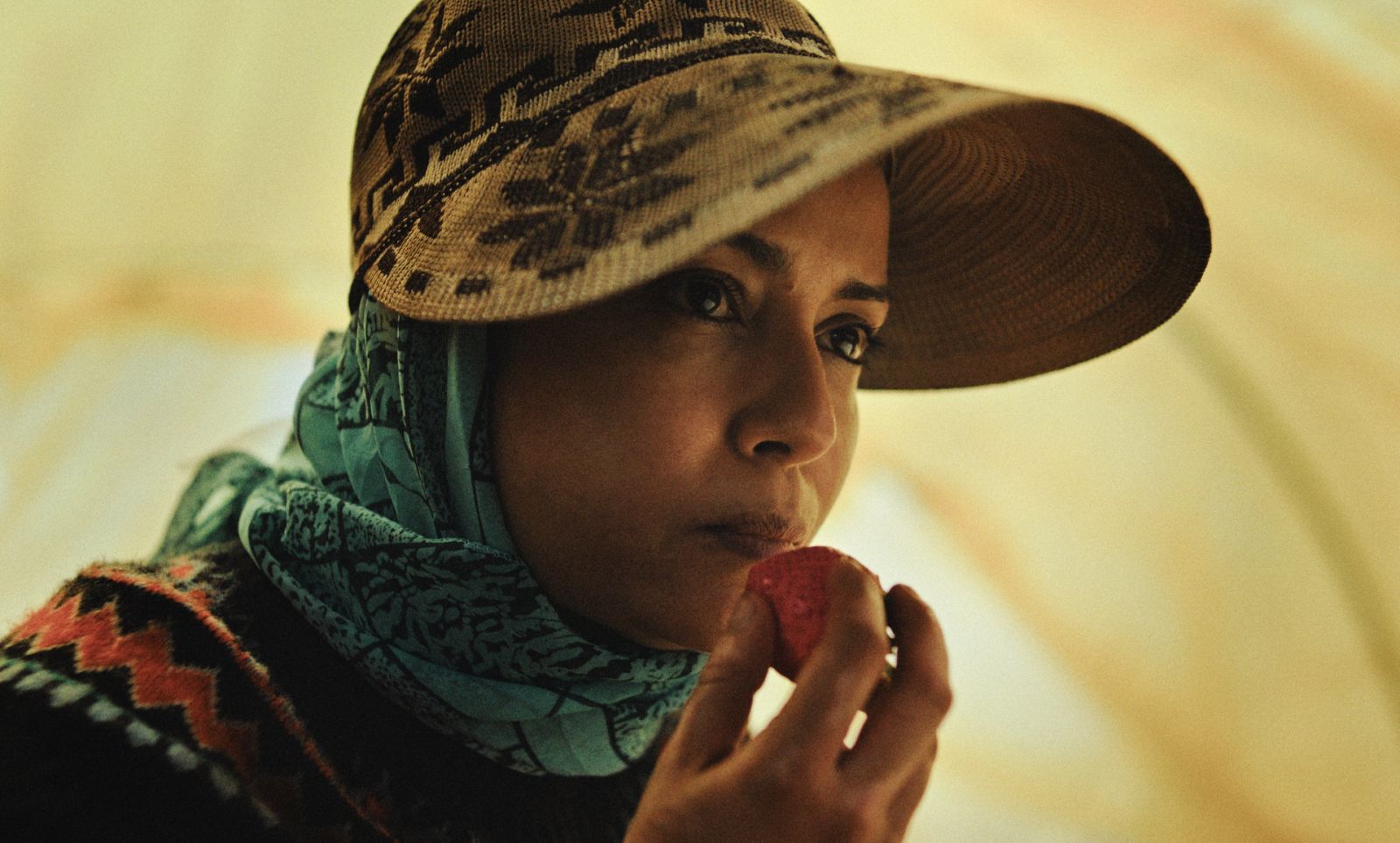 توت الأرض (2026)