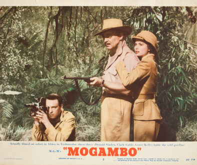 mogambo-md-web